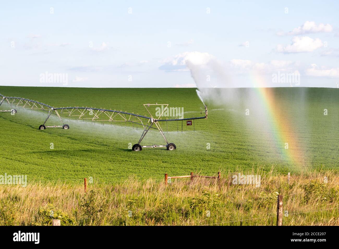 Pivot läuft im Feld mit schönen Regenbogen an sonnigen Tag. Hochwertige Fotos Stockfoto