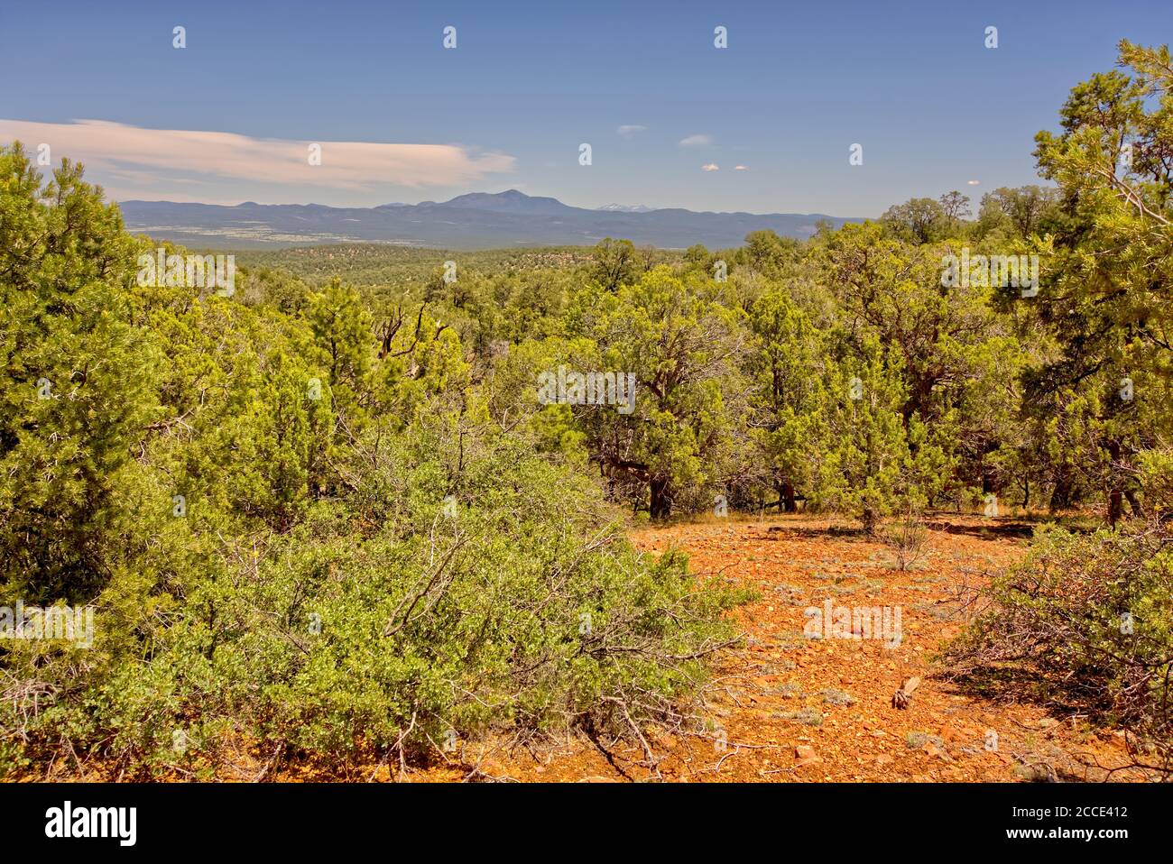 Blick auf Bill Williams Mountain im Norden Arizonas von der Forest Service Road 573 im Prescott National Forest in der Nähe von Ash Fork. Stockfoto