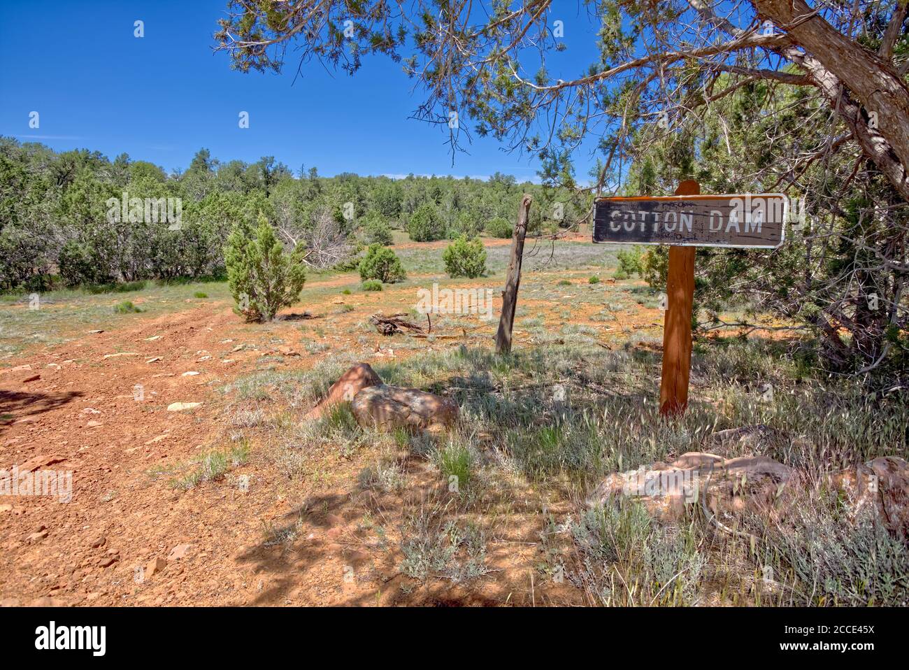 Ein Schild, das den Cotton Dam Cattle Tank auf der Big Black Mesa in der Nähe von Ash Fork Arizona entlang der Forest Service Road 573 markiert. Stockfoto