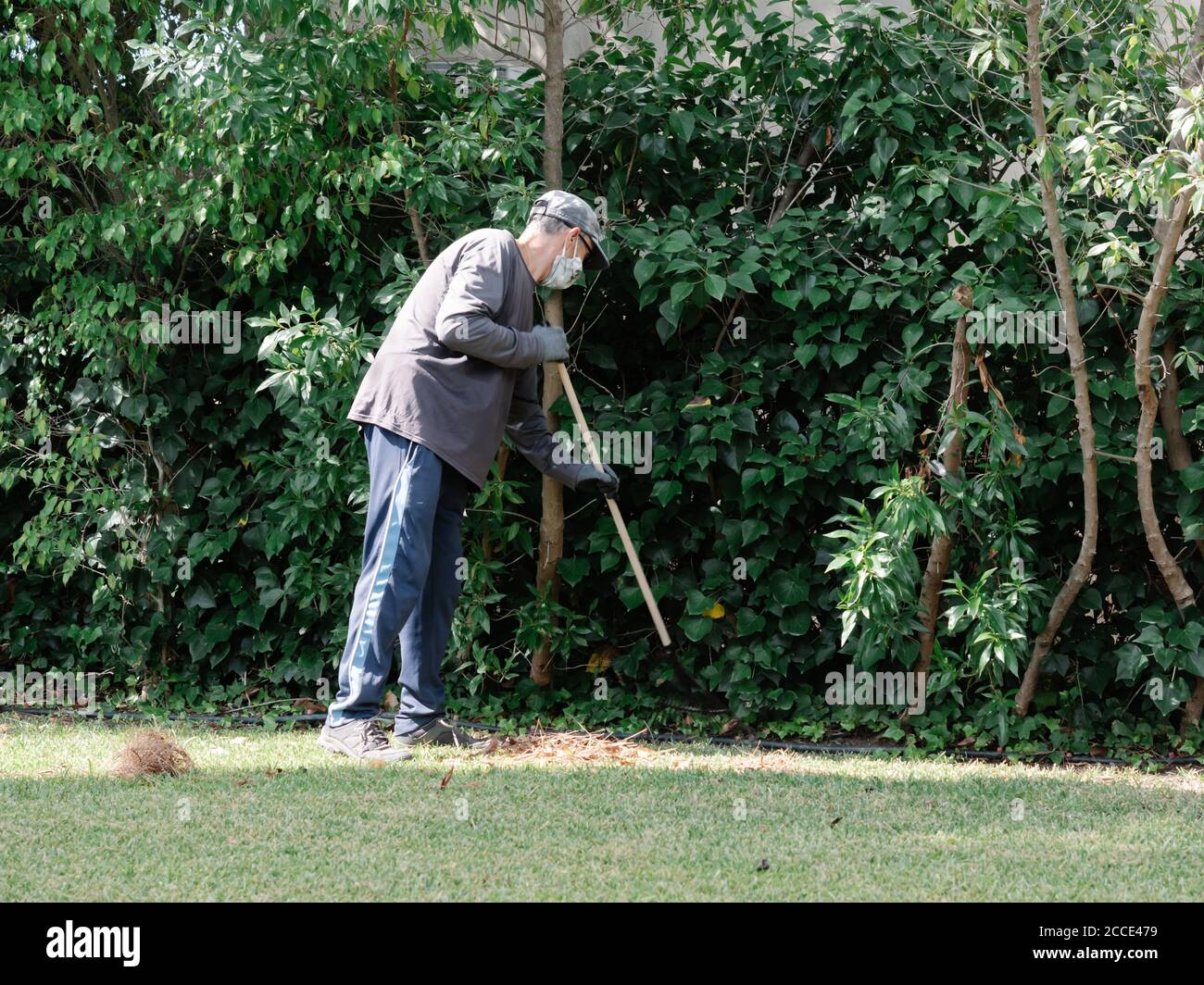 Foto eines Mannes, gekleidet als Gärtner, der seine Arbeit in einem Garten mit einem Rechen macht Stockfoto