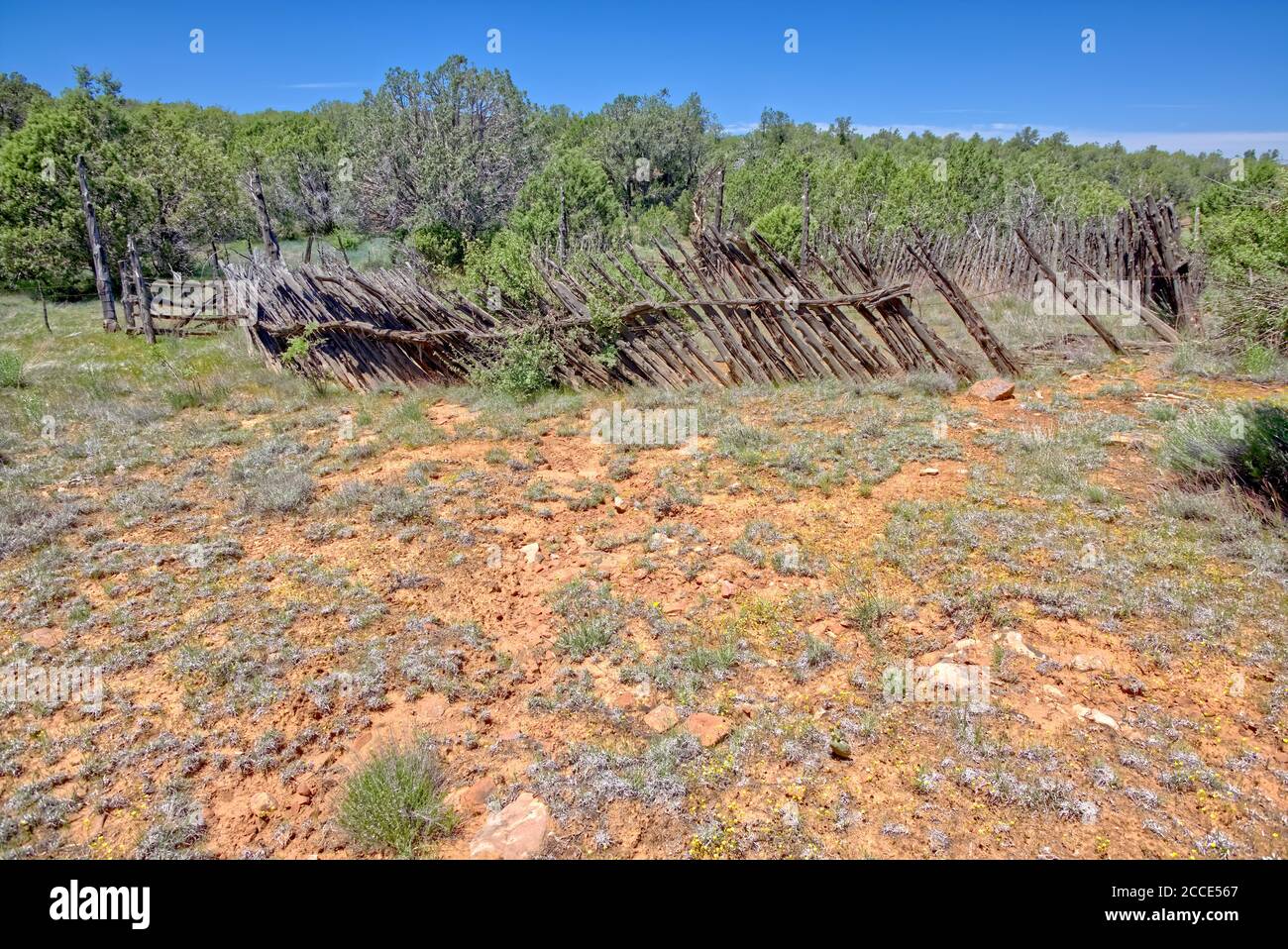 Eine verlassene Viehzucht im Cotton Dam Cattle Tank auf Big Black Mesa in der Nähe von Ash Fork AZ. Stockfoto