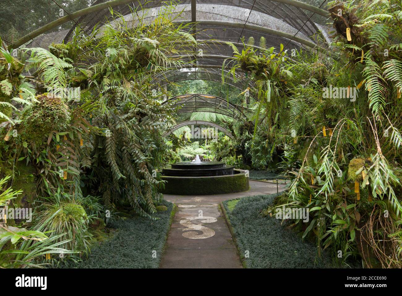 Orchideenhaus, Bedugul Botanical Garden, See Bratan, Bali Stockfoto