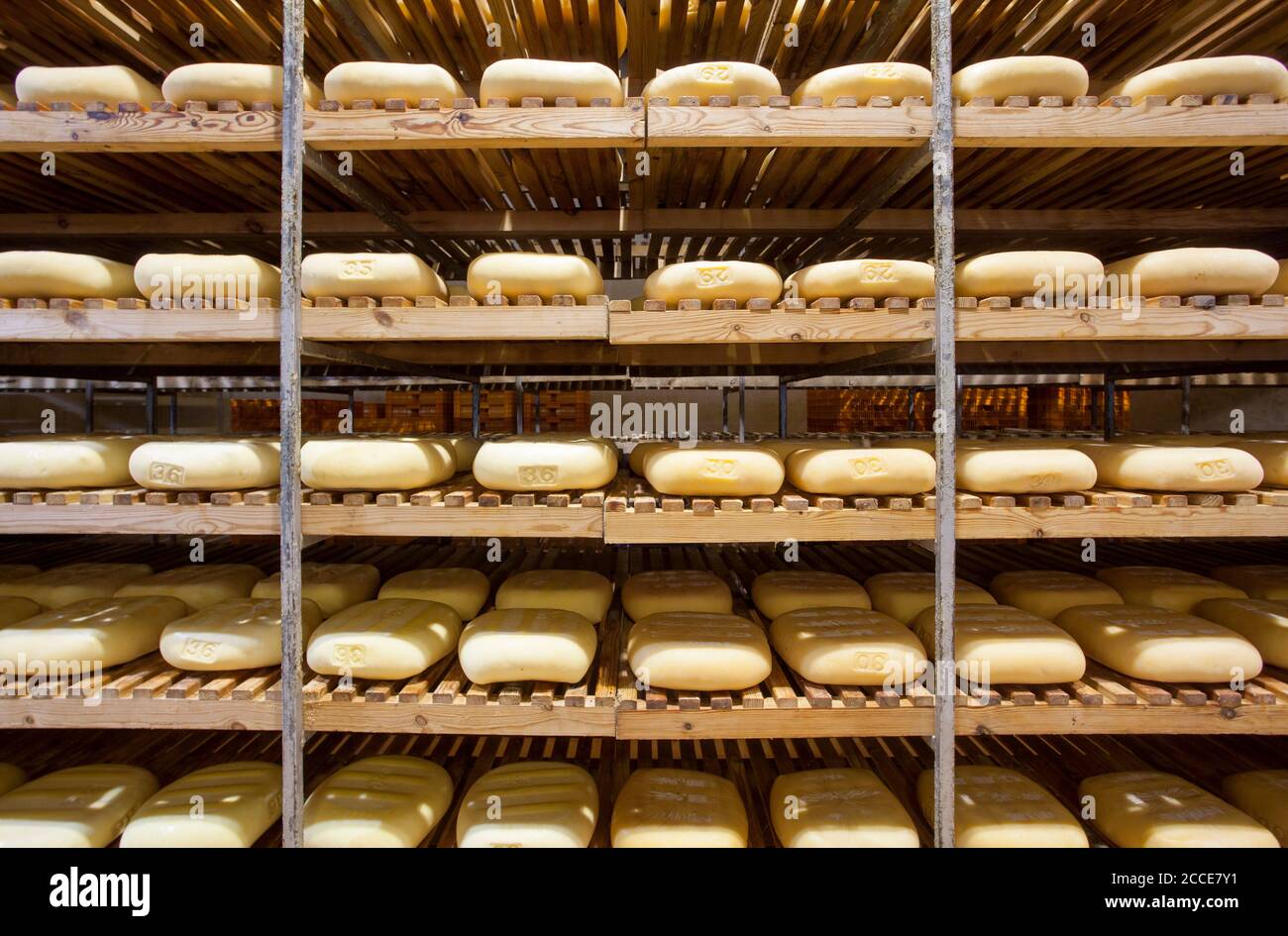 Käseherstellung (Reifung), Hort Sant Patrici, Ferreries, Menorca Stockfoto