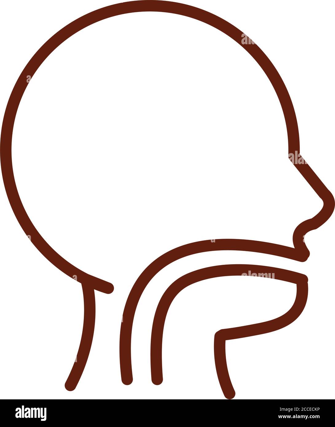 menschlicher-k-rper-mundh-hle-speiser-hre-anatomie-organ-gesundheit