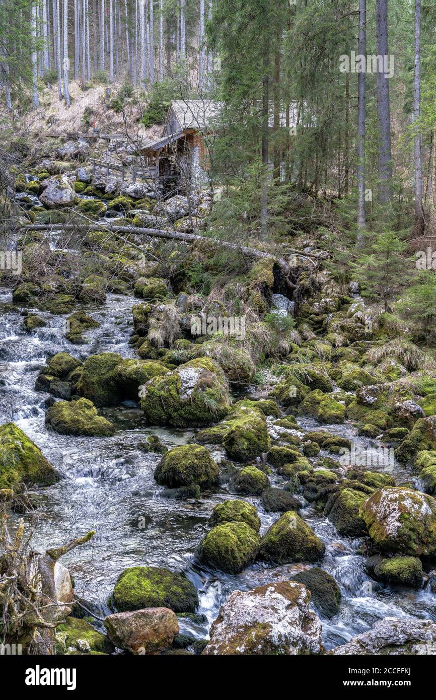 56+ Bach Auf Gleicher Höhe Wie Teiche, Bach = kleiner fluss, häufig