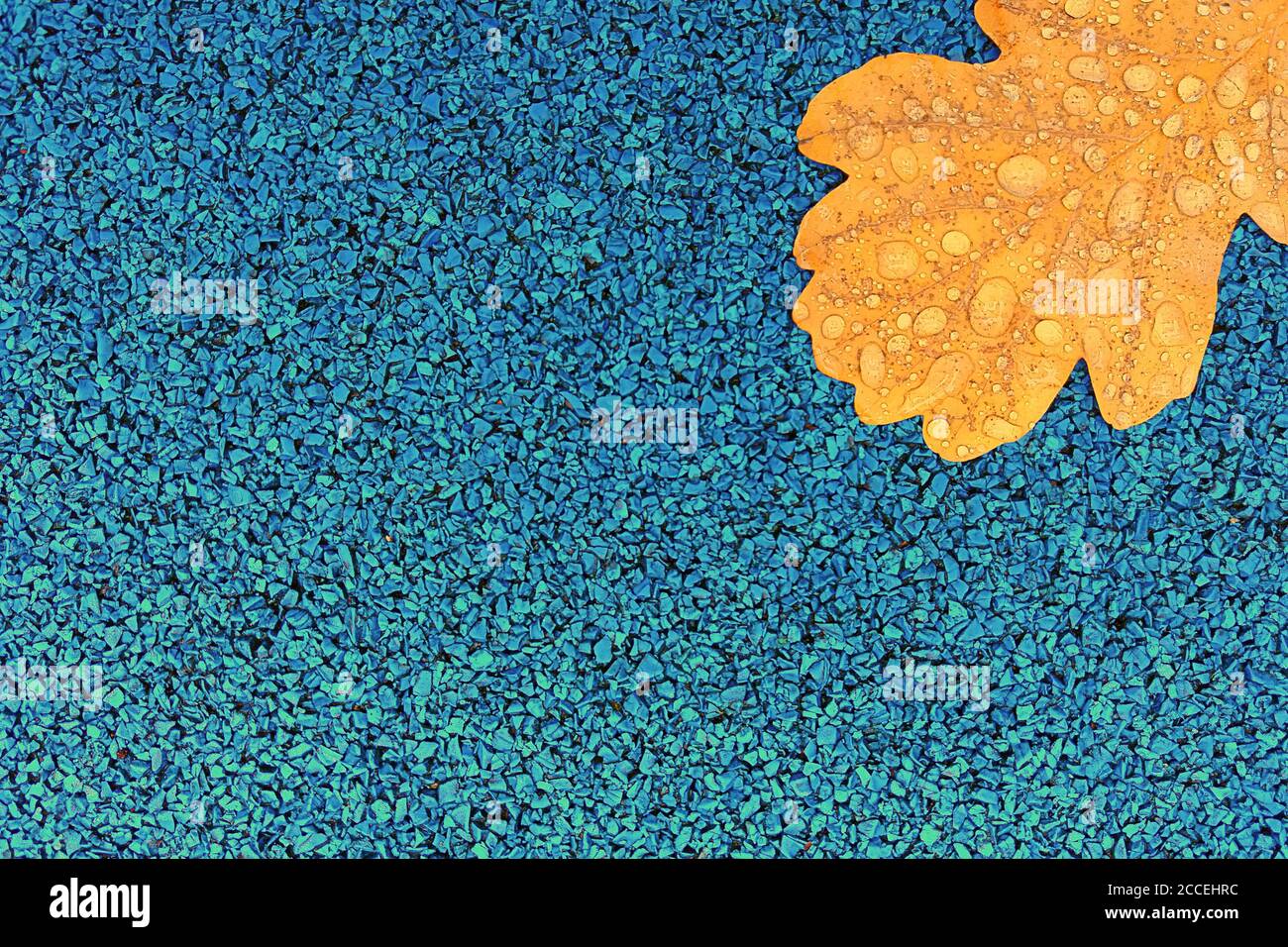 Gelbes Eichenblatt mit Wassertropfen auf blauem Hintergrund, Kopierraum Stockfoto