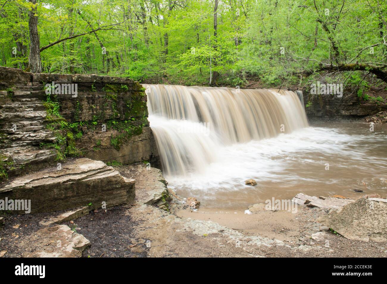 Prairie Creek Falls, nach heftigen Regenfällen. Nerstrand State Park, MN, USA, von Dominique Braud/Dembinsky Photo Assoc Stockfoto