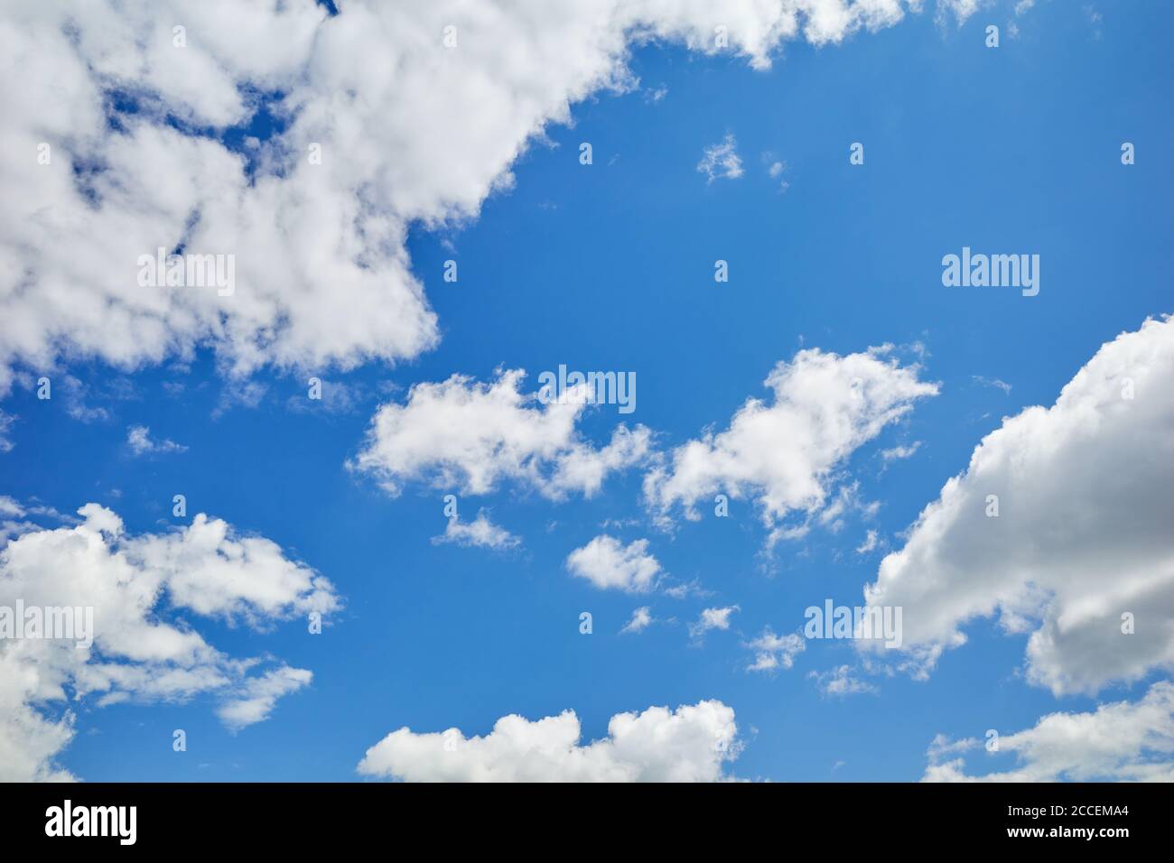 Blauer Himmel mit weißen und grauen Cumuli-Wolken. Bauchige und wogende weiße und dunkelgraue Wolken am blauen Himmel Stockfoto