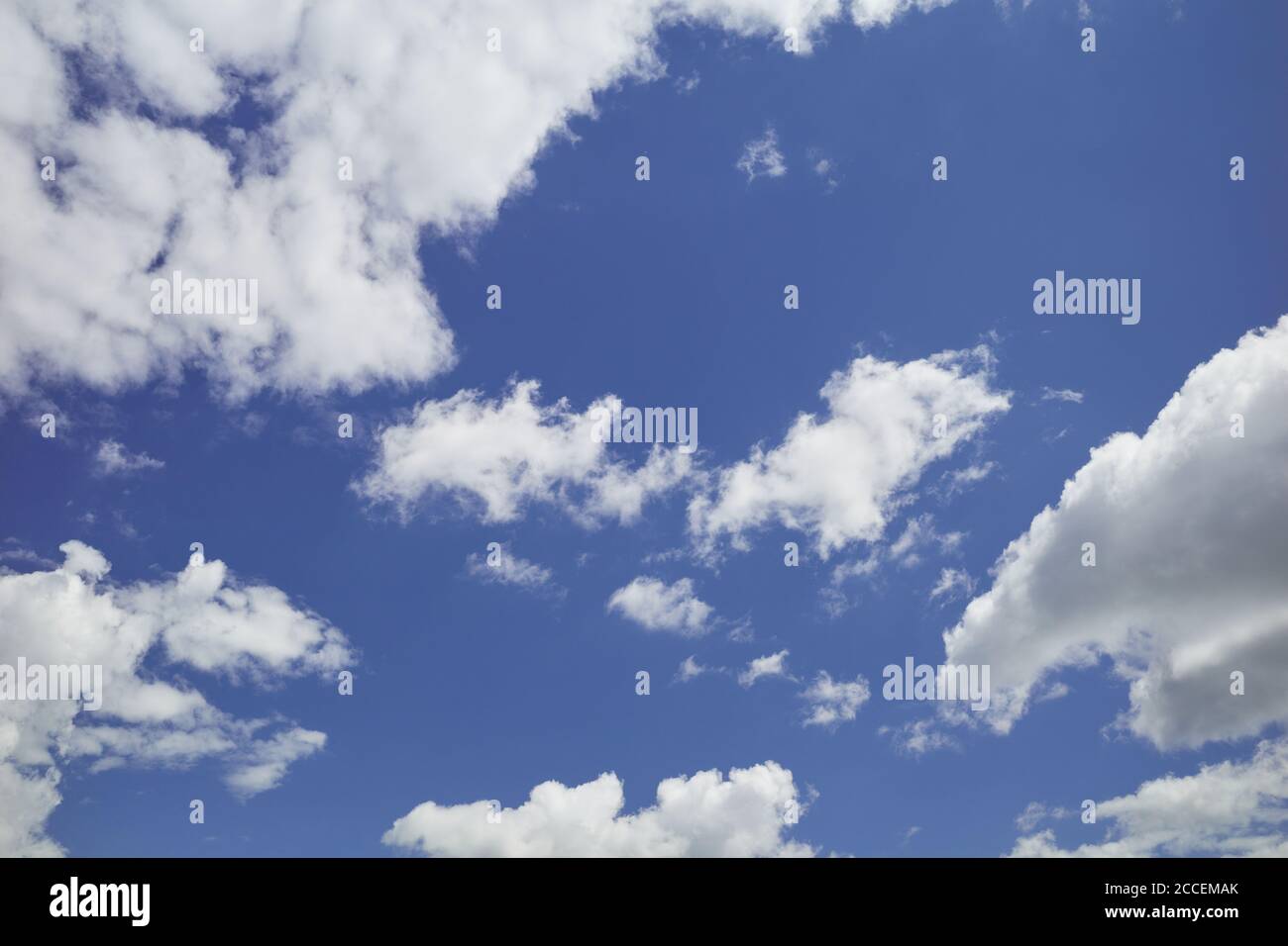 Indigo Himmel mit Baumwolle-wie Wolken. Erstaunlich blauer Himmel mit weißen und grauen Cumuli Wolken Stockfoto