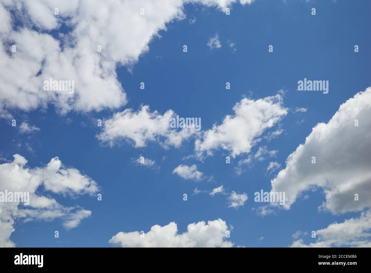 Baumwollartige Wolken am blauen Himmel. Entzückende Cumuli-Wolken fliegen in dem erstaunlichen blauen Himmel. Hintergrund für Vorhersage und Meteorologie Illustration Stockfoto