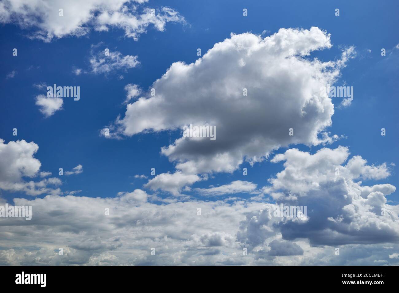 Regenwolkenbildung am blauen Himmel. Entzückende Wolken fliegen in den blauen Himmel. Sonnenbeschienene Cumulus-Wolken. Schönes Tageslicht Stockfoto