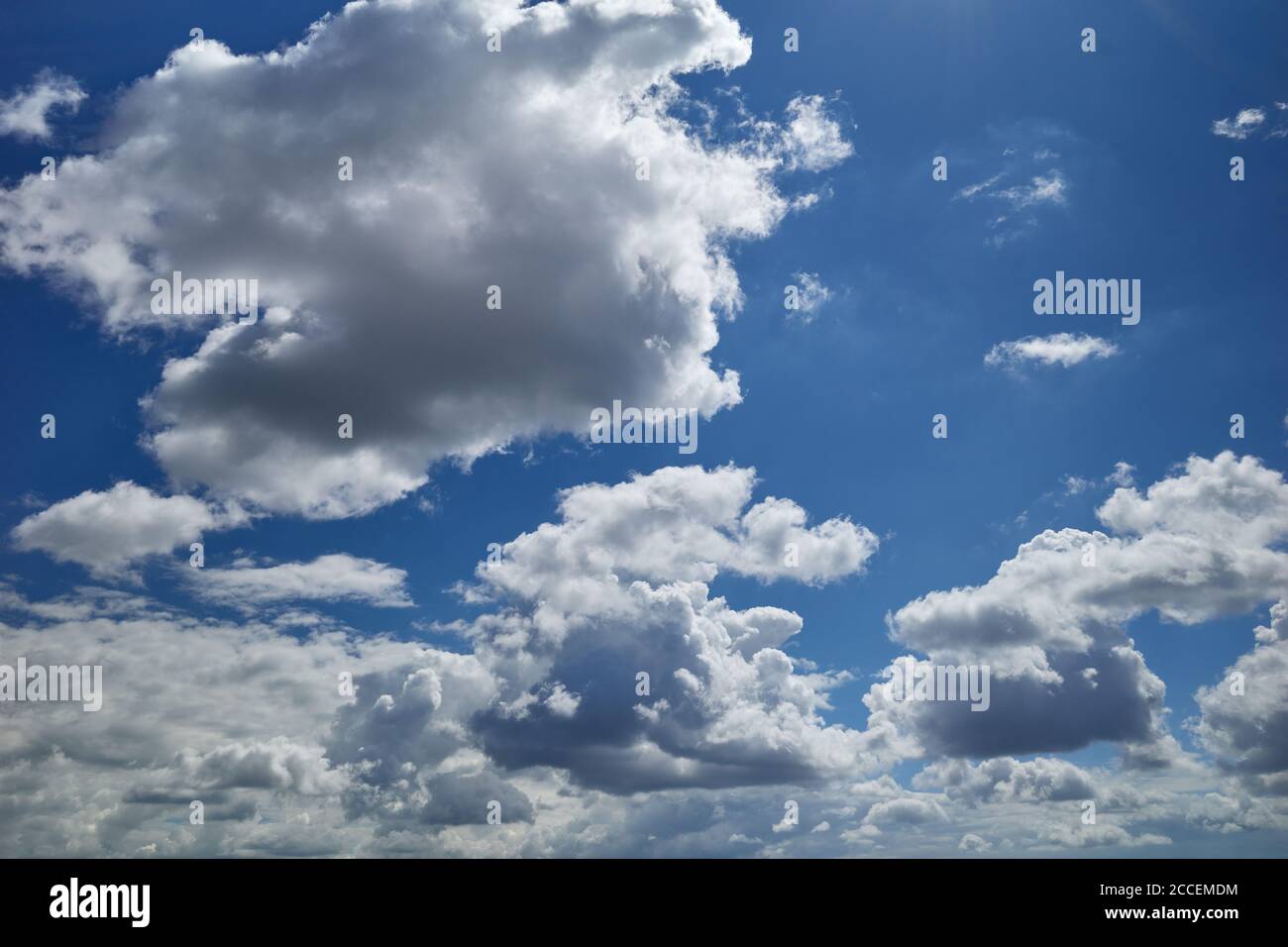 Traumhafter Himmel. Erstaunliche Wolken fliegen am blauen Himmel. Flauschige, geschwollene, baumwollartige Wolken. Hintergrund für Vorhersage und Meteorologie Illustration Stockfoto