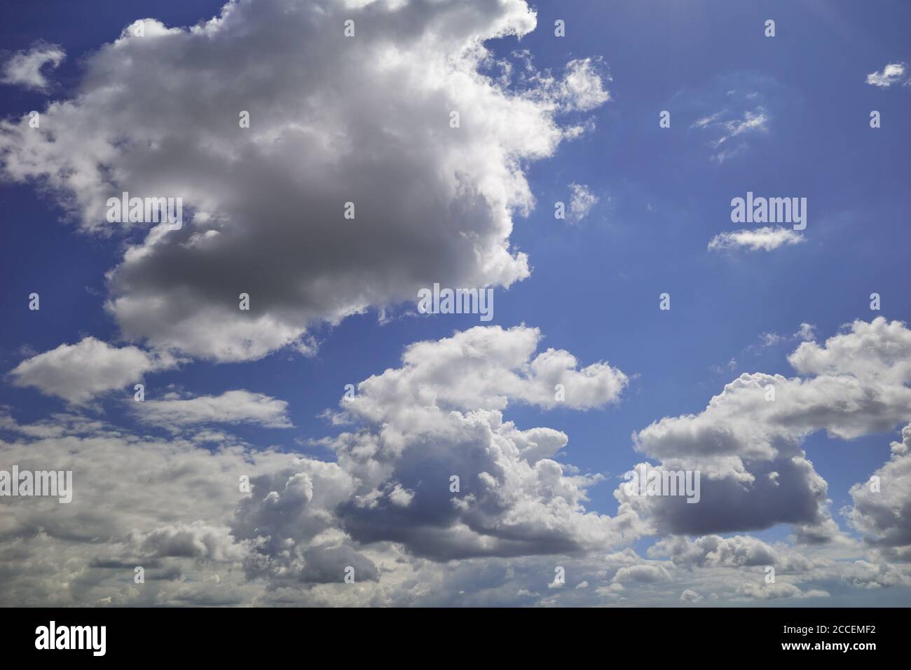 Weiße und dunkelgraue Knollenwolken am Indigohimmel. Geschwollene und wabende weiße und graue Wolken am Himmel. Hintergrund für Vorhersage und Meteorologie Stockfoto