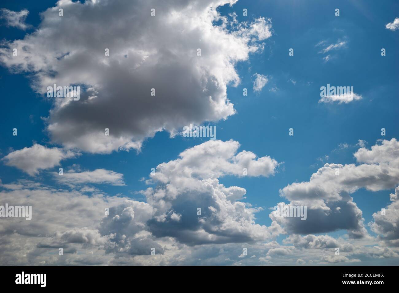 Baumwollartige Cumuli-Wolken schweben im sonnenbeschienenen blauen Himmel. Cumulus Wolken fliegen im türkisfarbenen Himmel. Hintergrund für Vorhersage und Meteorologie Illustration. Stockfoto