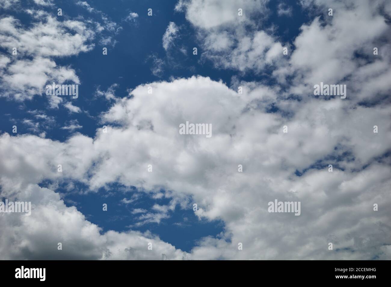 Feld der Kumuluswolken in blauem Himmel. Hintergrund für Vorhersage und Meteorologie Illustration. Geschwollene, baumwollartige, flauschige Cirrus-Cumuli-Wolken. Stockfoto