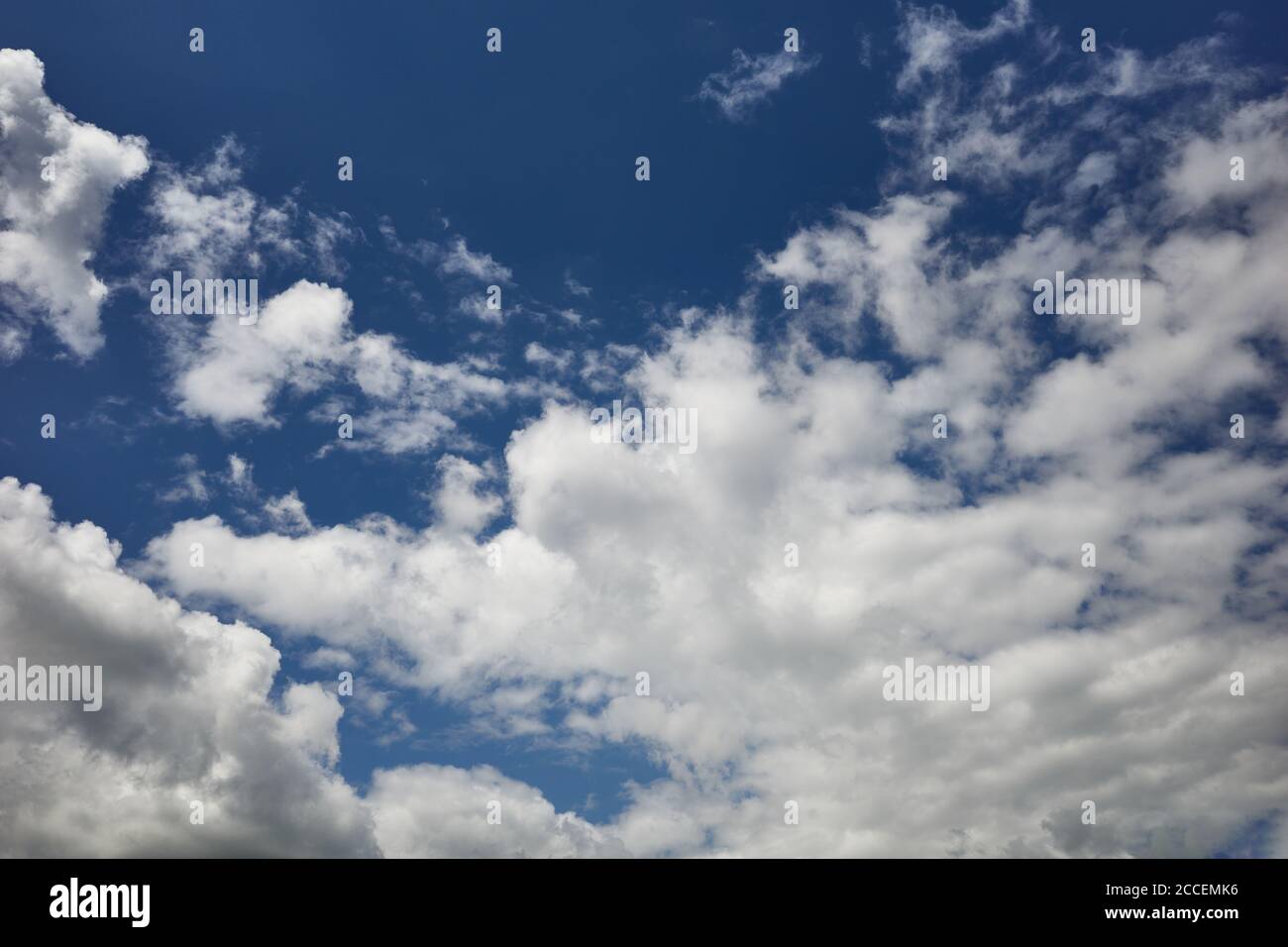Feld von Cirrus Cumuli Wolken in blauen Himmel. Hintergrund für Vorhersage und Meteorologie Illustration. Stratocumulus Wolken schweben über Stockfoto