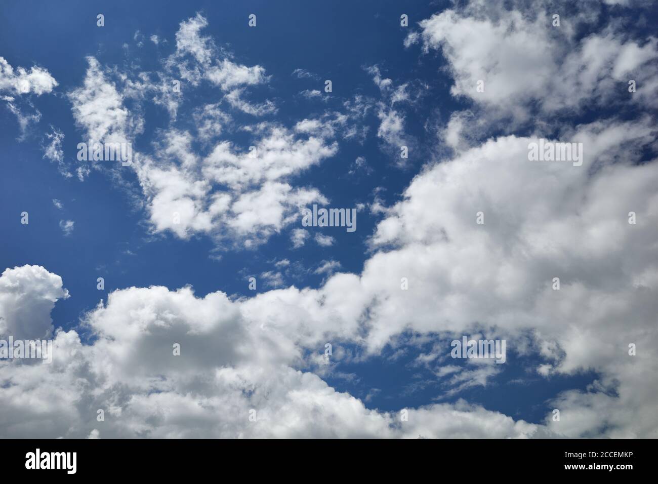 Bizarre Kumuluswolken schweben im blauen Himmel. Himmel im Sonnenlicht. Hintergrund für Vorhersage und Meteorologie Illustration. Stockfoto