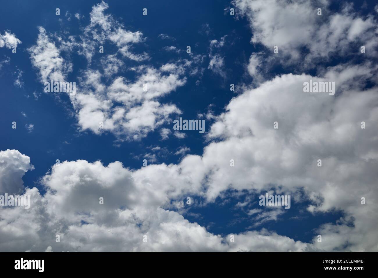 Himmlische Pracht eines schönen bewölkten Tages. Feld von geschwollenen Kumuluswolken im blauen Himmel. Hintergrund für Vorhersage und Meteorologie Illustration. Stockfoto