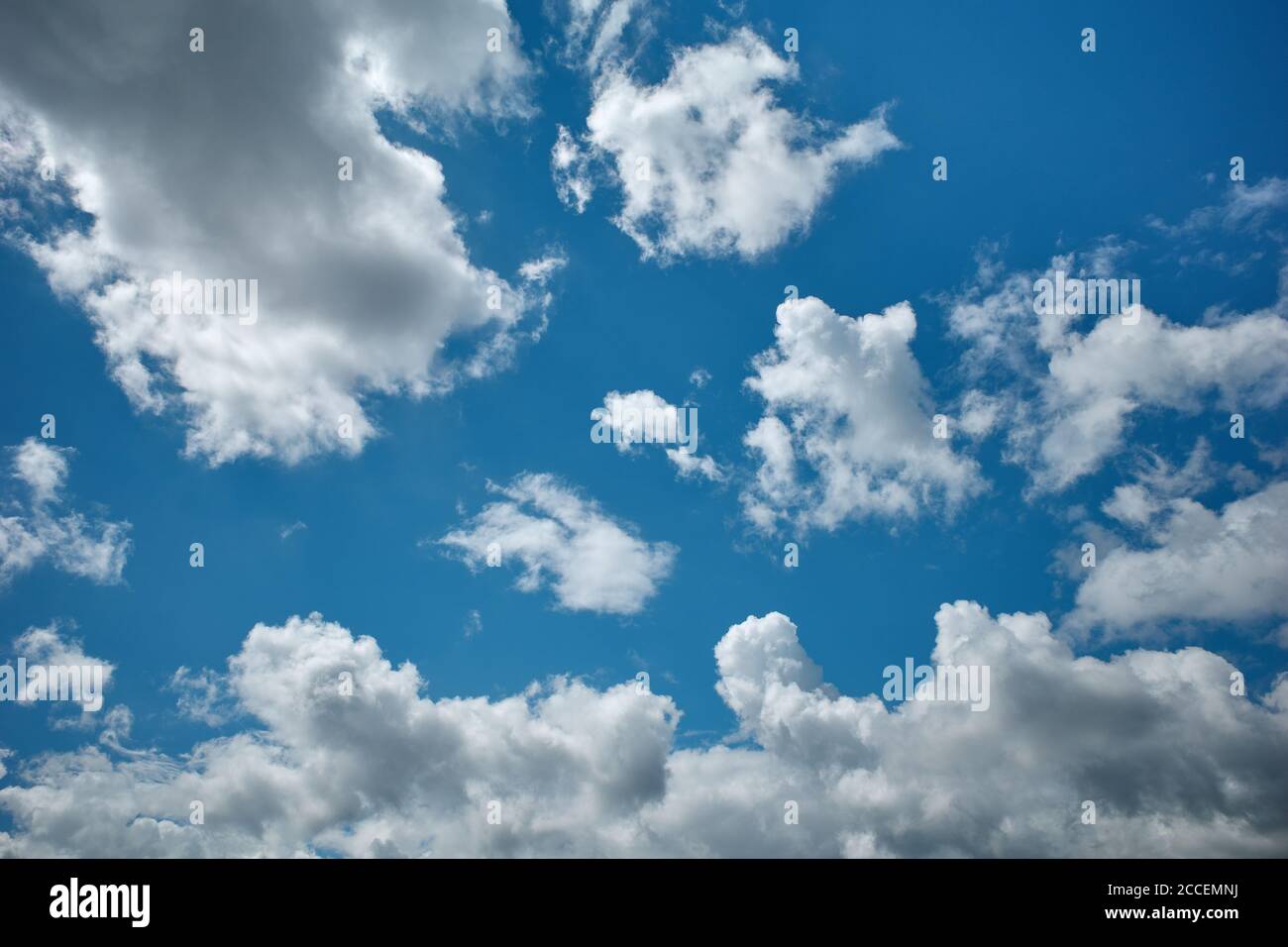 Baumwollartige Cumulus-Wolken im herrlichen azurblauen Himmel. Himmlisches Element. Hintergrund für Vorhersage und Meteorologie Illustration Stockfoto