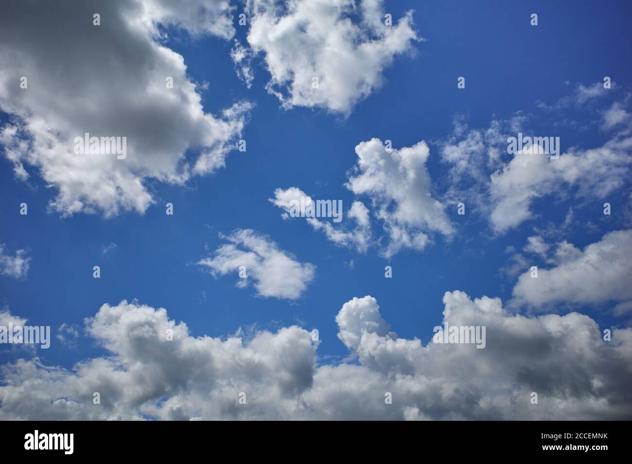 Geschwollene Kumuluswolken bilden eine hoch aufragende Luftmasse in blauem Himmel. Sonnenglänzendes Wetter. Hintergrund für Vorhersage und Meteorologie Illustration Stockfoto