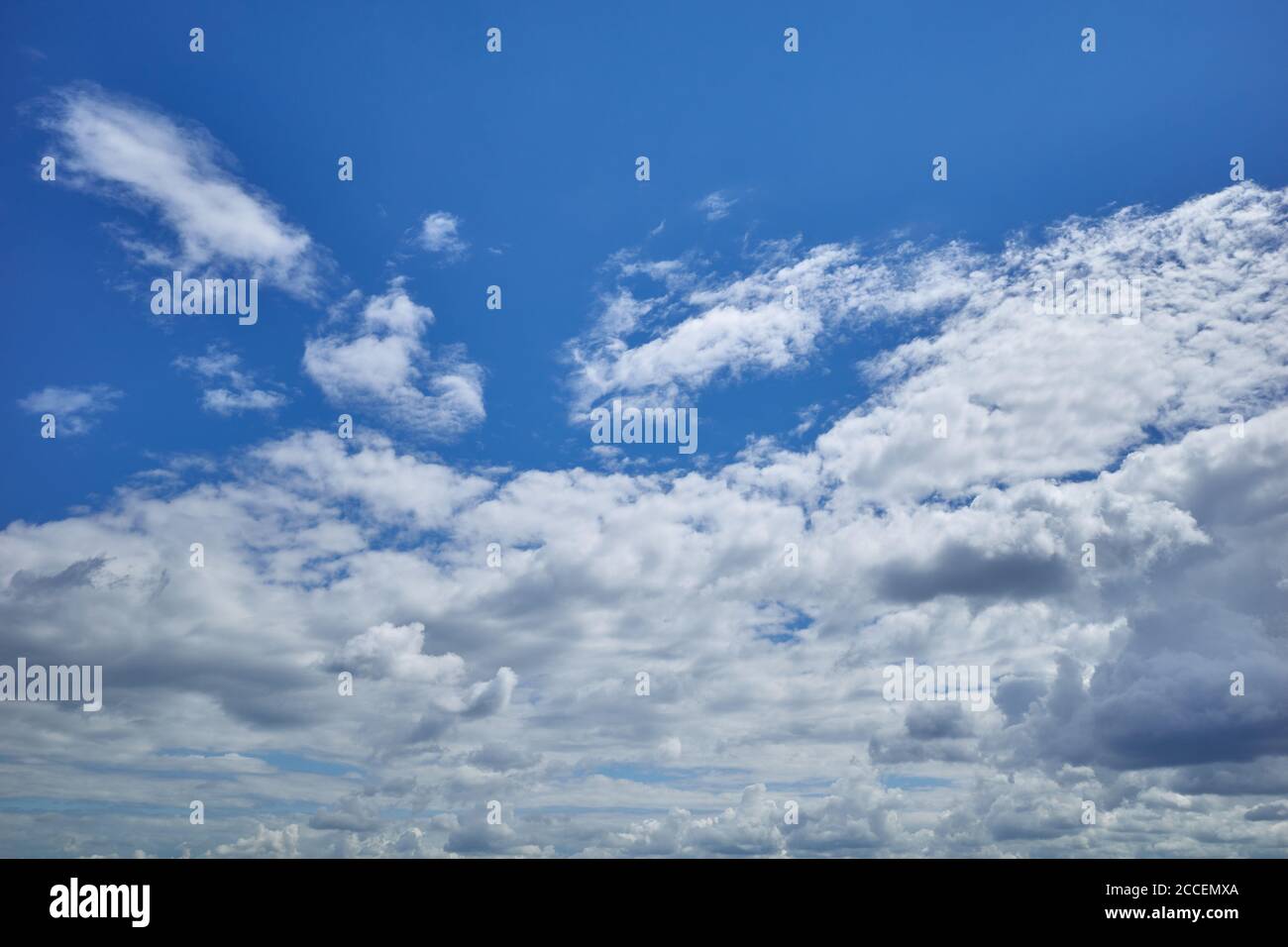 Der blaue Himmel ist mit Kumuluswolken im Licht der Sommersonne übersät. Die Himmelskugel. Hintergrund für Vorhersage und Meteorologie Illustration Stockfoto