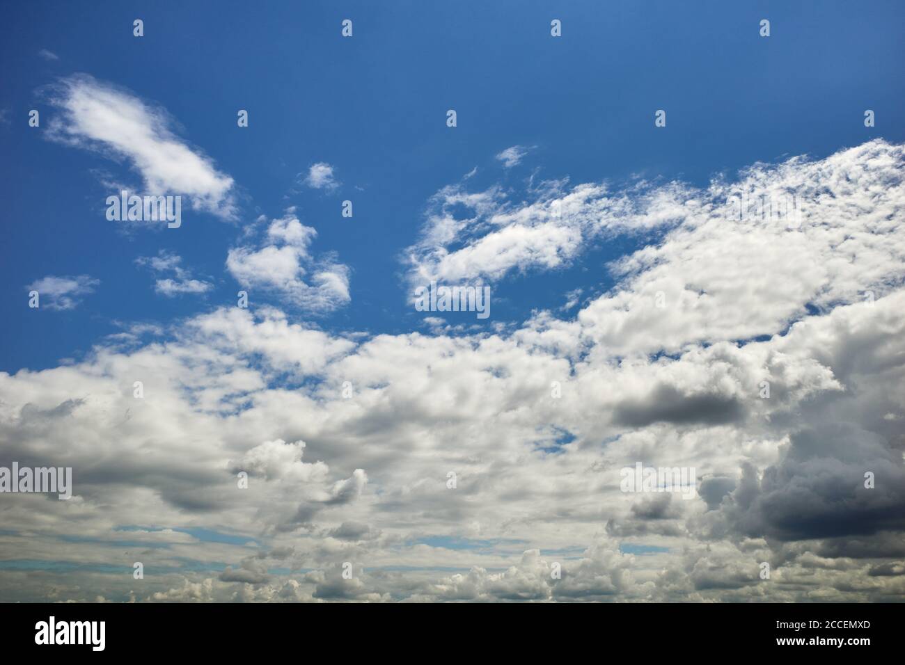 Cumulus-gestreut blauer Himmel in Sonnenlicht. Herrlicher blauer Himmel mit einem weiten Feld von sonnenbeschienenen Cumuli-Wolken. Vorhersage und Meteorologie Illustration Foto. Stockfoto