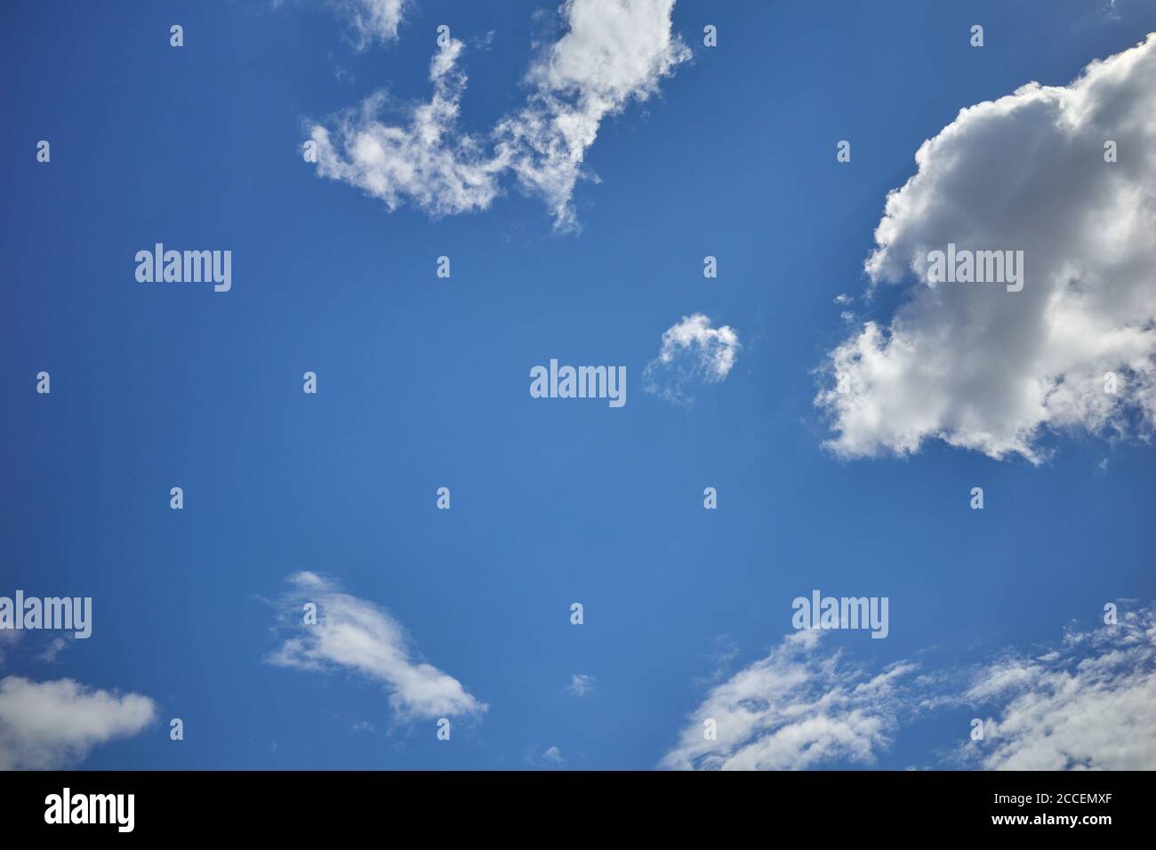 Blauer Himmel mit sonnenbeschienenen Cumulus-Wolken. Zerrissene Cirrus Cumuli Wolken schweben im blauen Himmel. Hintergrund für Vorhersage und Meteorologie Illustration Stockfoto