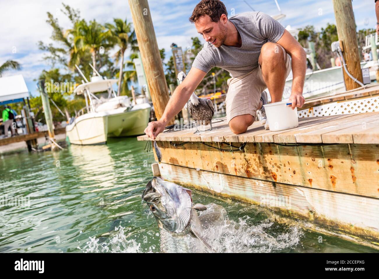 Tarpon Fisch Fütterung in den Schlüsseln, Florida, Sommer Reise Lifestyle Tourismus. Amerikanischer Mann mit Spaß bei Freizeitaktivitäten in Islamorada, USA Stockfoto