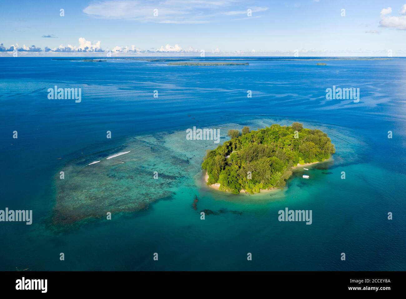 Black Manta Ray, Manta birostris, Kimbe Bay, New Britain, Papua-Neuguinea Stockfoto