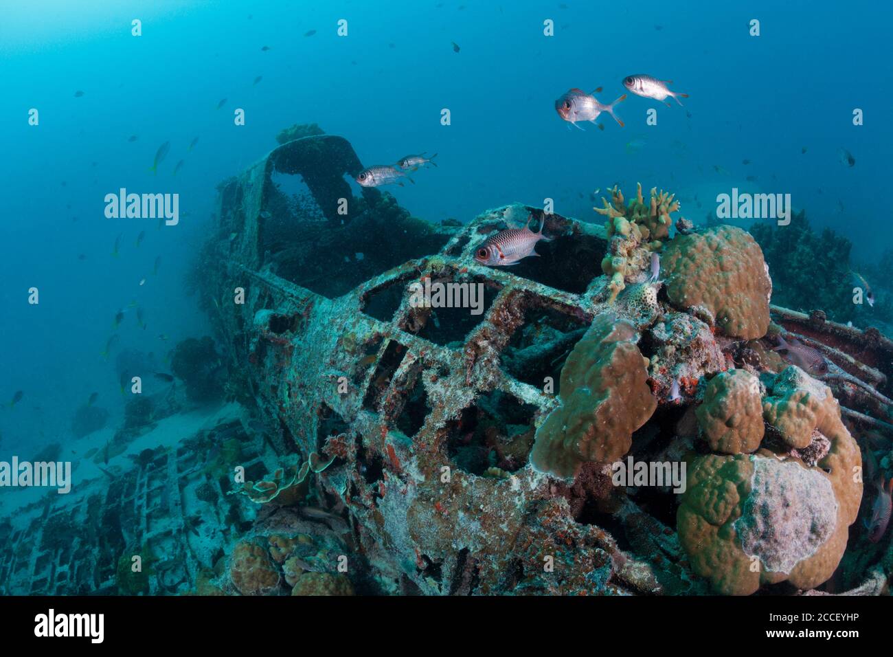 Scuba Diver über Coral Reef, New Ireland, Papua Neuguinea Stockfoto