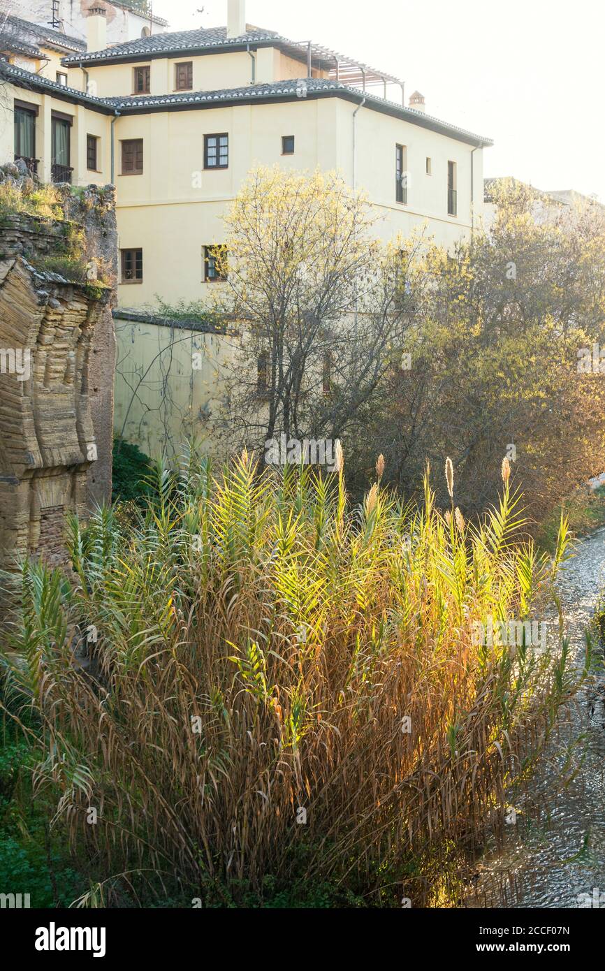 Granada (Spanien), Albaicin District, Carrera del Darro, Darro River Stockfoto