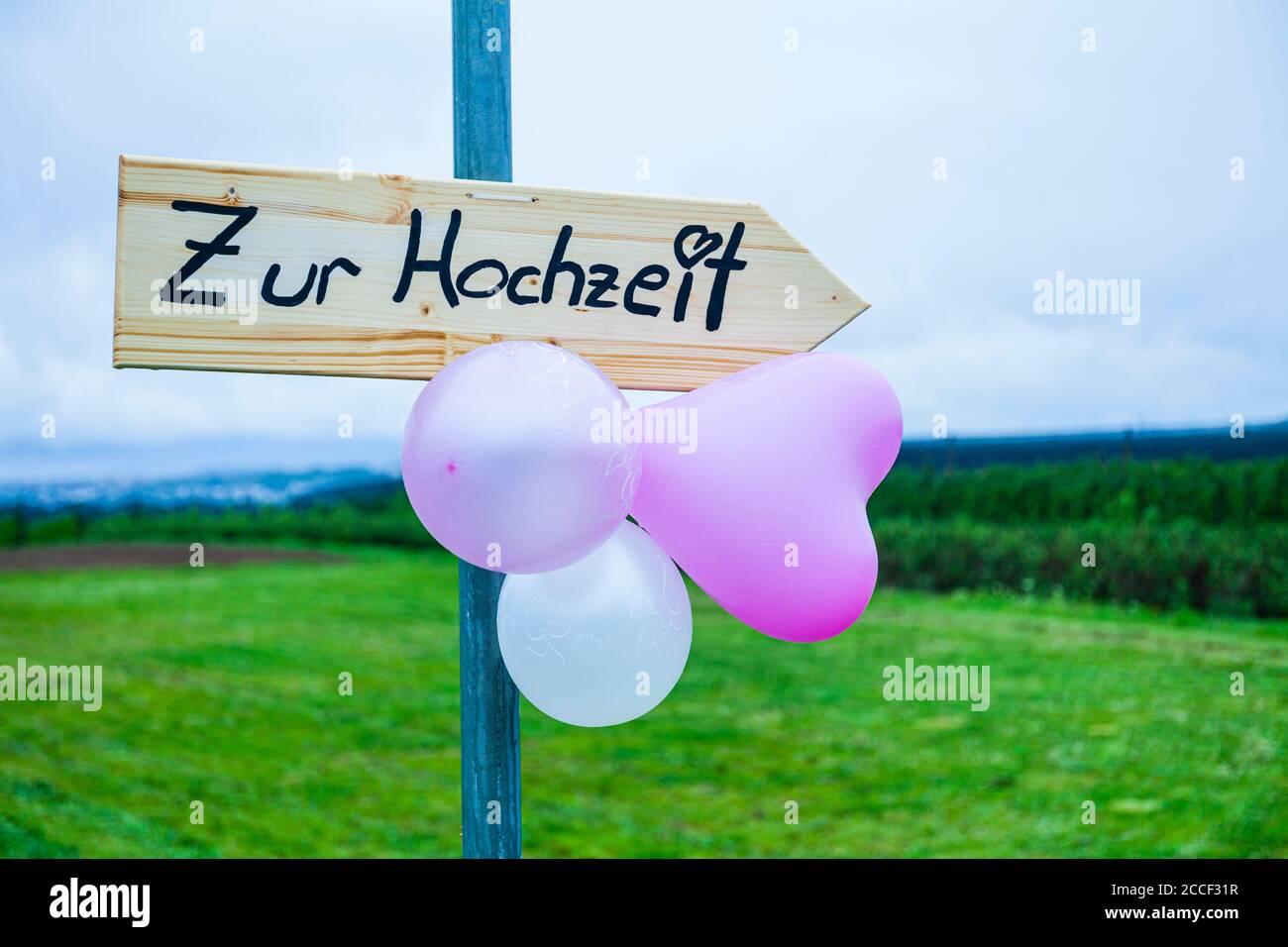 Hochzeit, Wegweiser, Holz, Wiese, Ballon, Stockfoto
