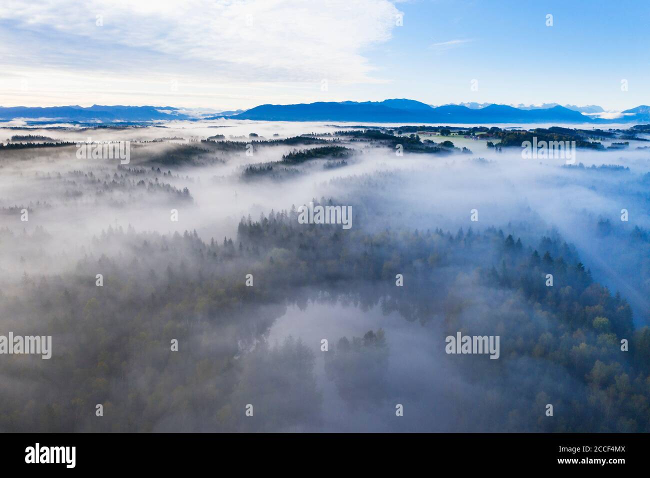 Nebel über Wald und Teich, Birkensee bei Geretsried, Alpenkette, Voralpen, Drohnenfotografie, Oberbayern, Bayern, Deutschland Stockfoto