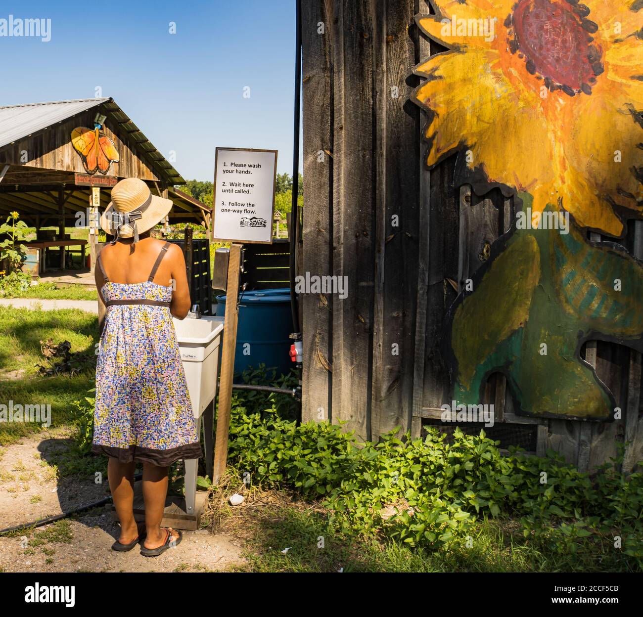 Junge Frau trägt eine Sundress und Sonnenhut waschen sie Hände, bevor sie ihre Farm teilen an einem Waschbecken Wegen der Covid-19 Pandemieprotokolle Stockfoto
