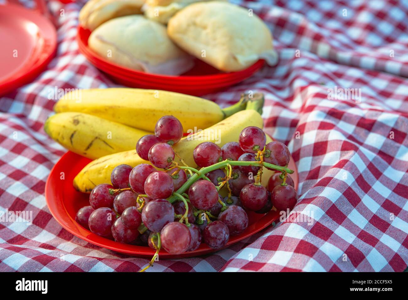 Wiederverwendbare Teller mit Brot, Obst, Banane, Trauben auf einer typischen rot-weiß karierten Camping-Tischdecke platziert, Stockfoto