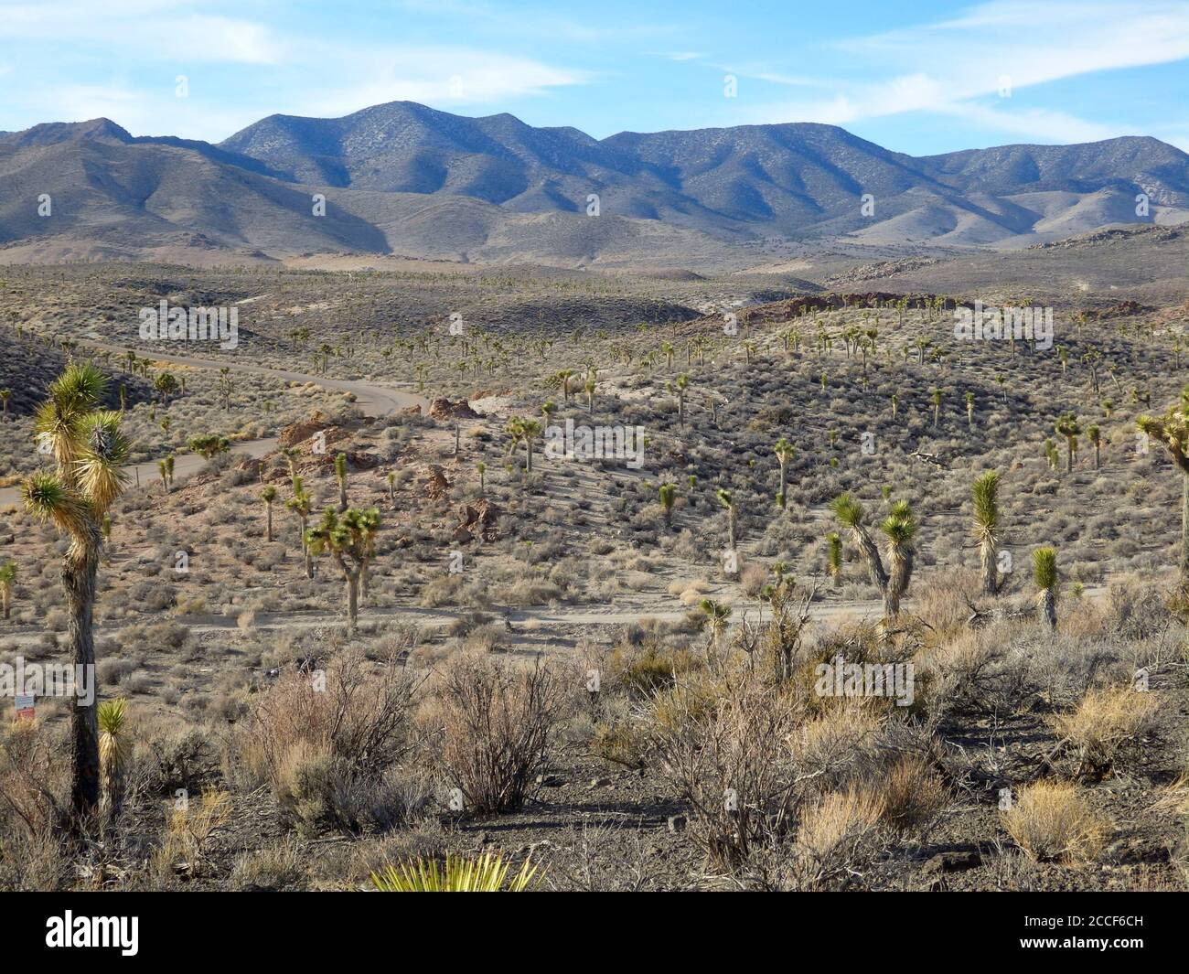 Nevada Wüstenlandschaft in der Nähe von Area 51 Stockfoto