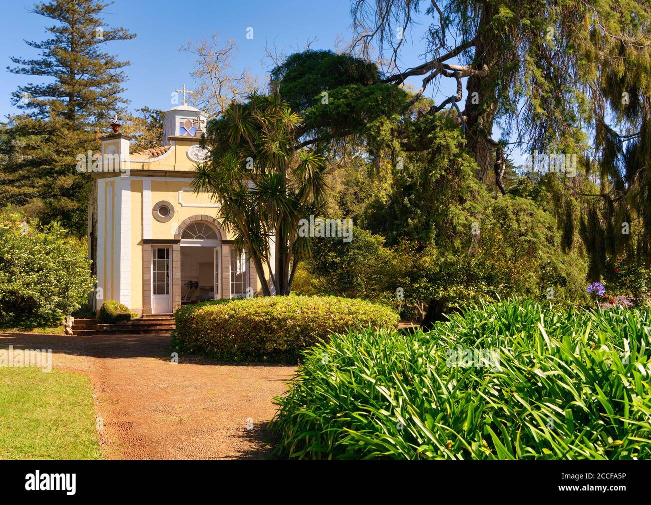 Palheiro Gärten in Funchal mit exotischen Bäumen, mehrere Themengärten, Kapelle, Madeira, Portugal Stockfoto