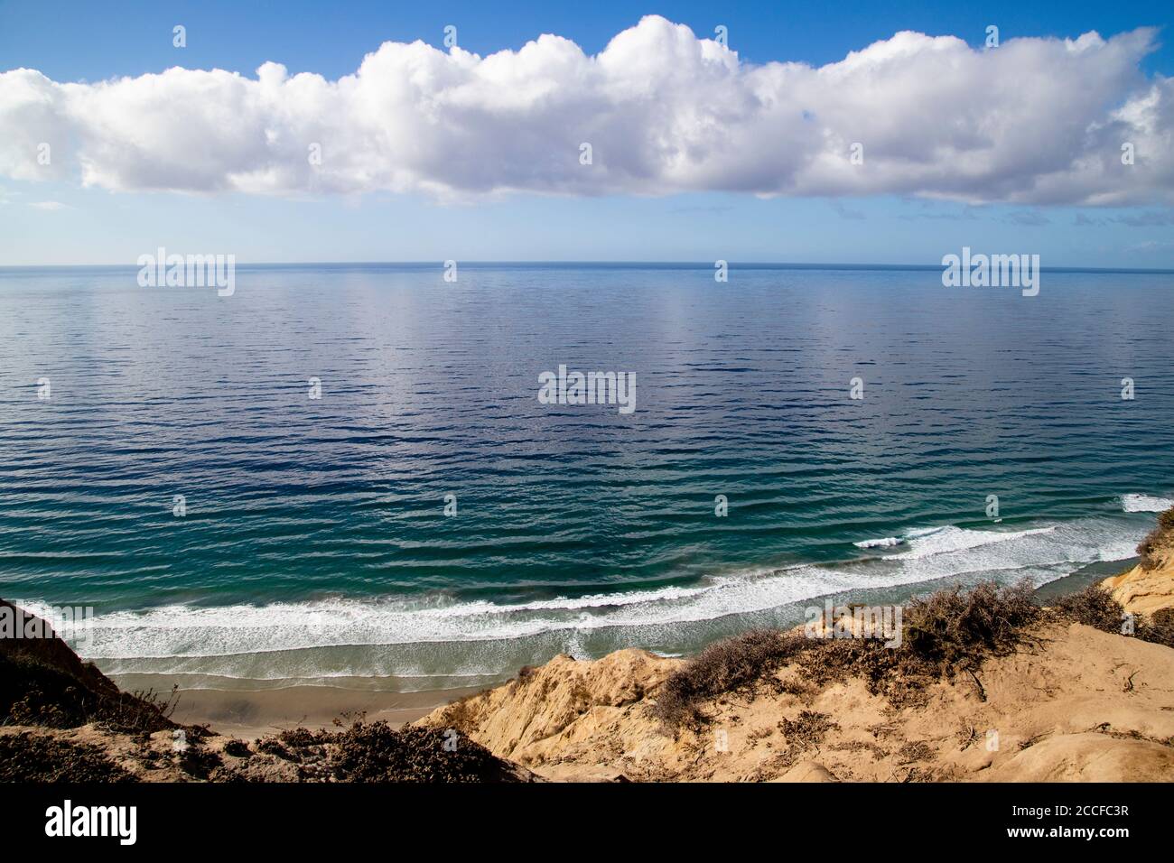 Ruhige Aussicht von der Klippe von Black's Beach, La Jolla, Kalifornien, an einem sonnigen Tag mit hohen Wolken, klarem blauen Wasser, Sand und einheimischen Pflanzen Stockfoto