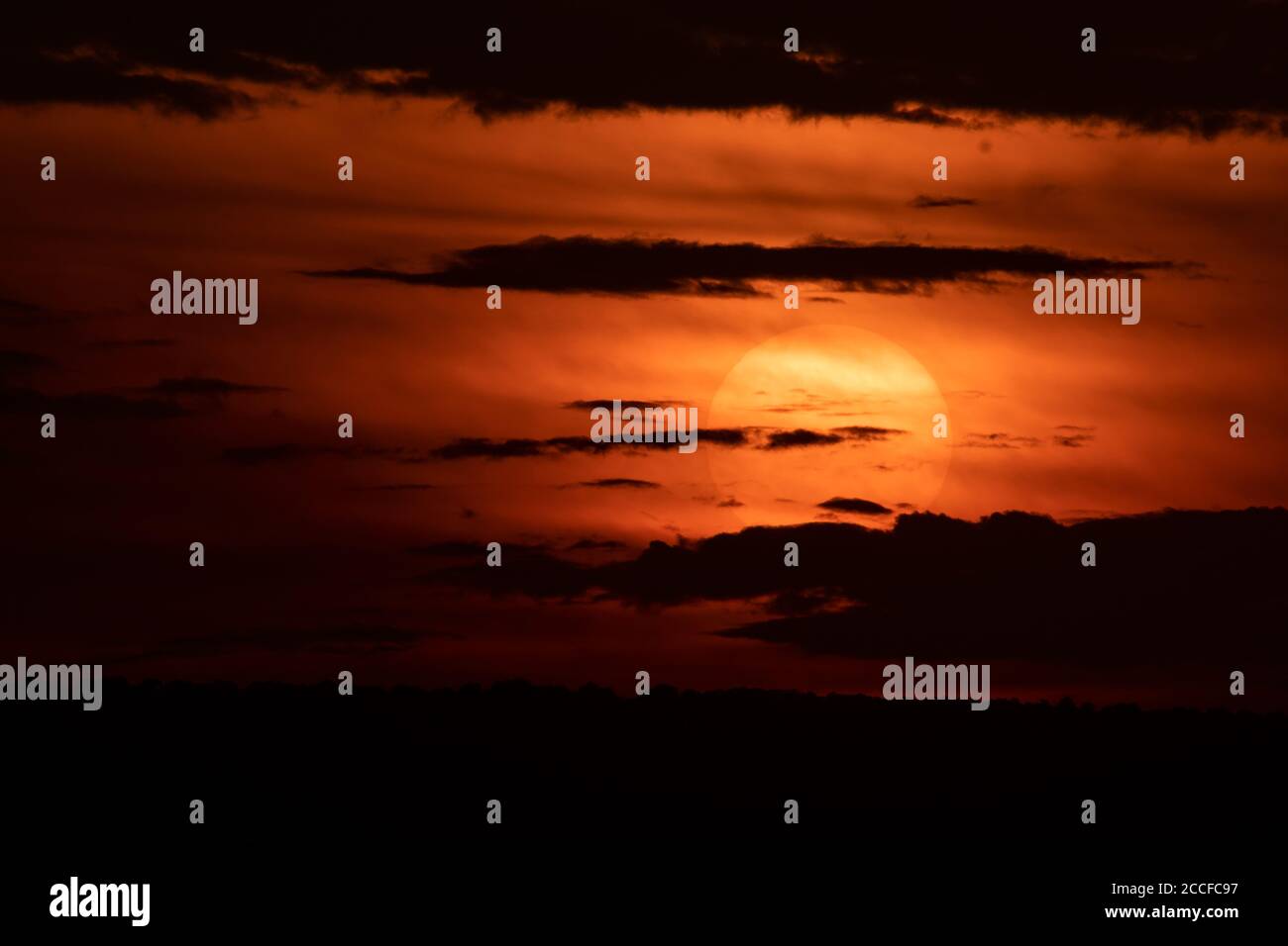Lebhafter Sonnenuntergang in Masai Mara, Kenia Stockfoto