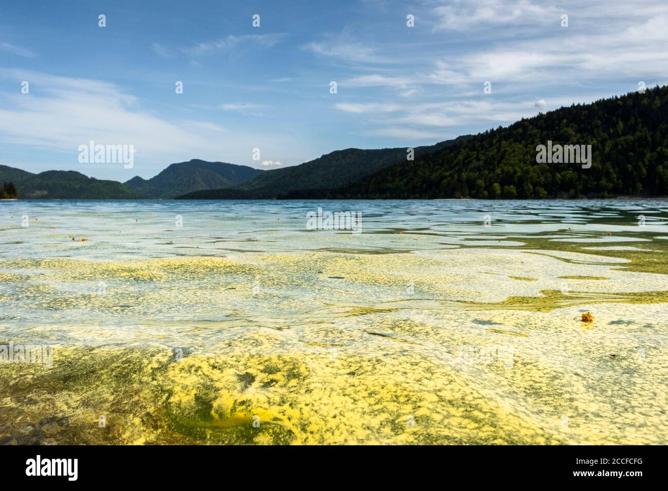 Deutschland, Bayern, Pollen im Walchensee Stockfoto