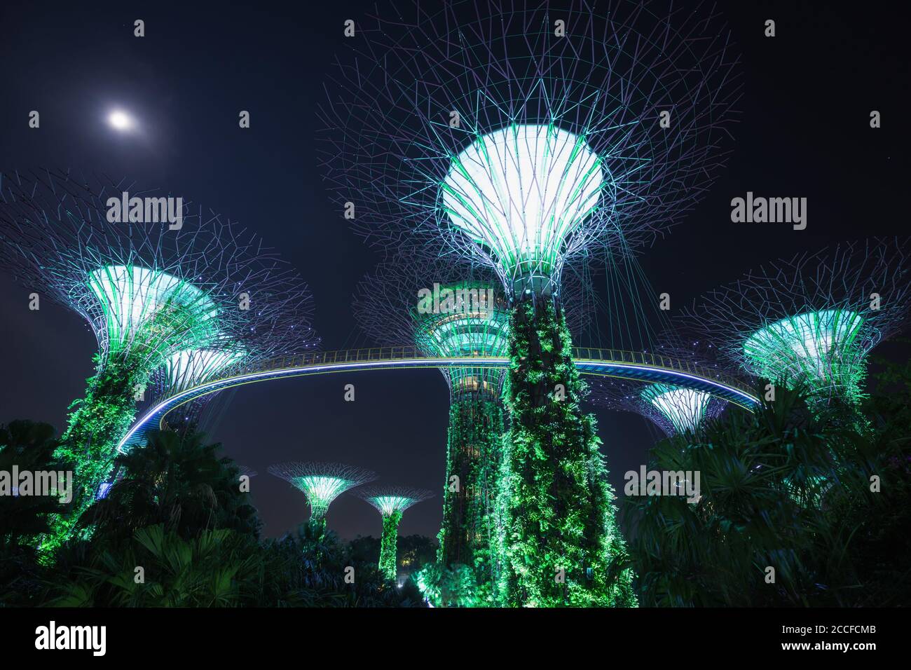 Singapur, Gardens by the Bay Stockfoto