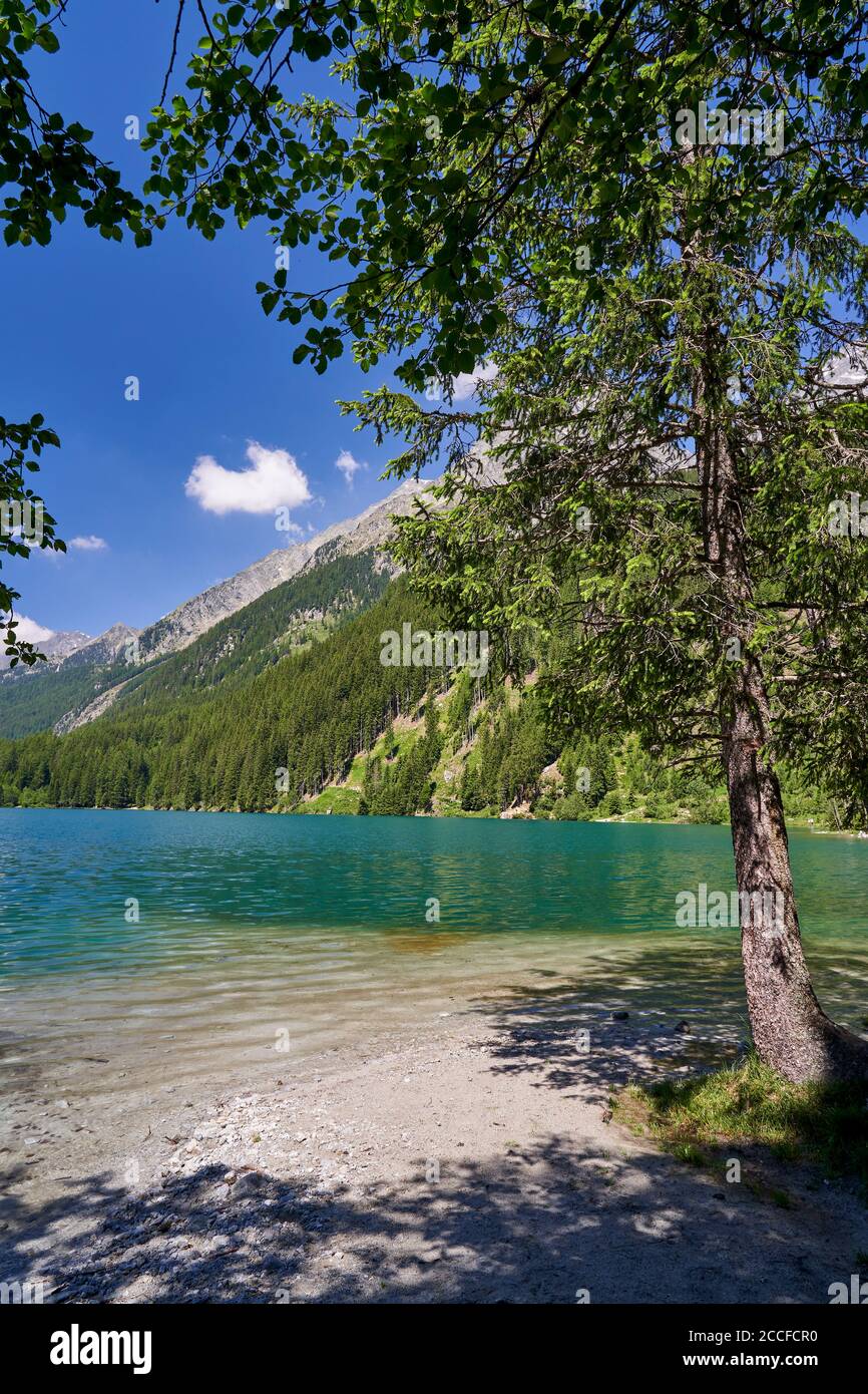 Der Antholzer See in den Bergen des Naturparks Rieserferner-Ahrn, Pustertal, Südtirol, Italien Stockfoto