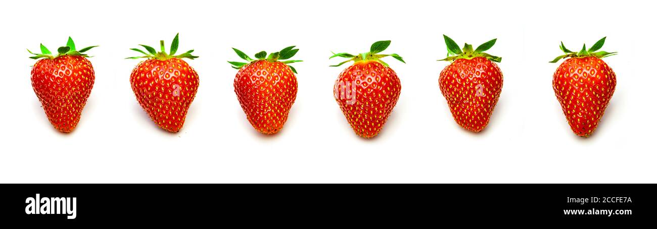Frisch geerntete Erdbeeren isoliert auf weißem Hintergrund Stockfoto