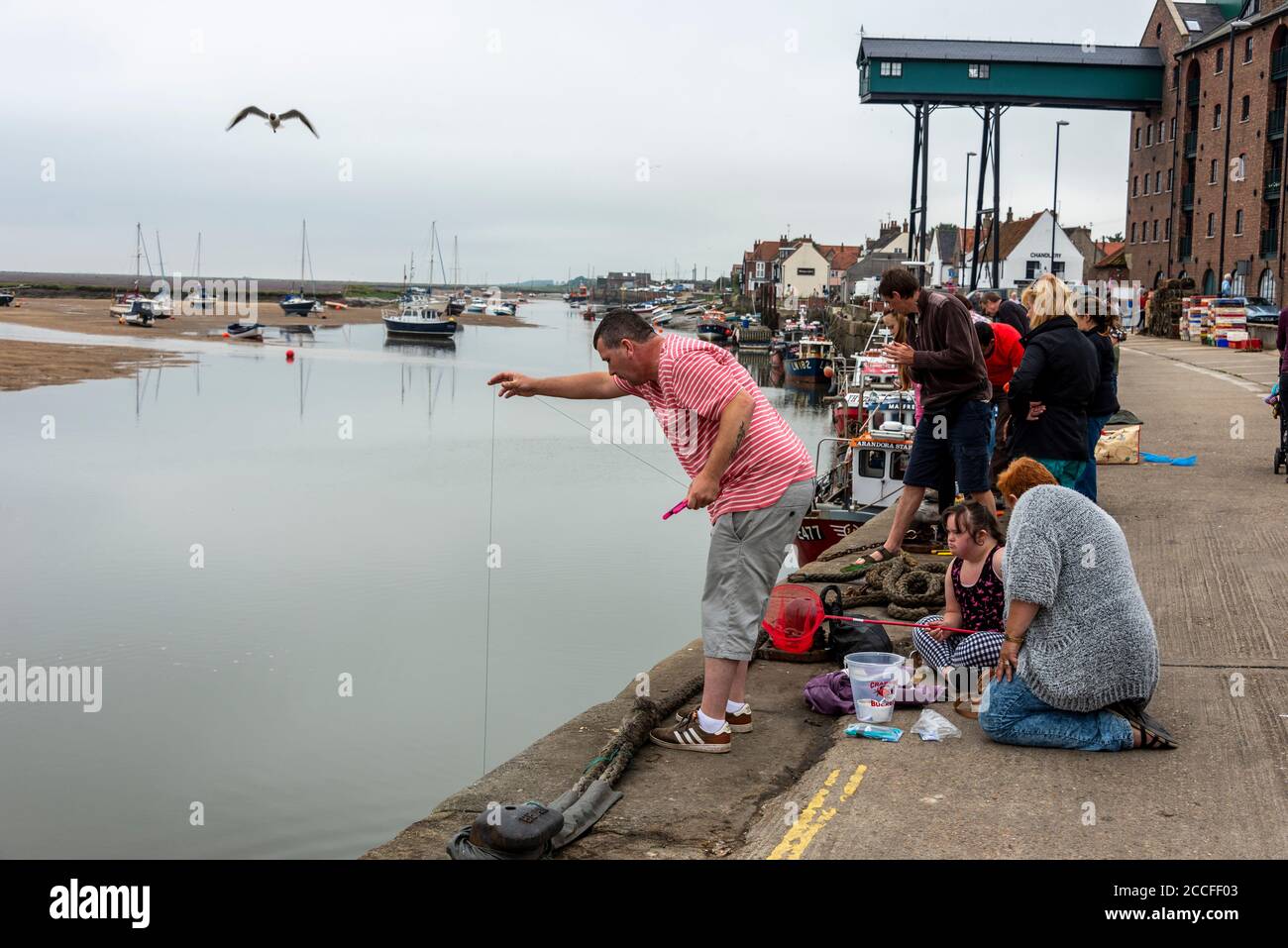 Familien genießen es, kleine Krebse an der Hafenmauer von Wells-next-the-Sea in Norfolk, Großbritannien, zu fangen Stockfoto