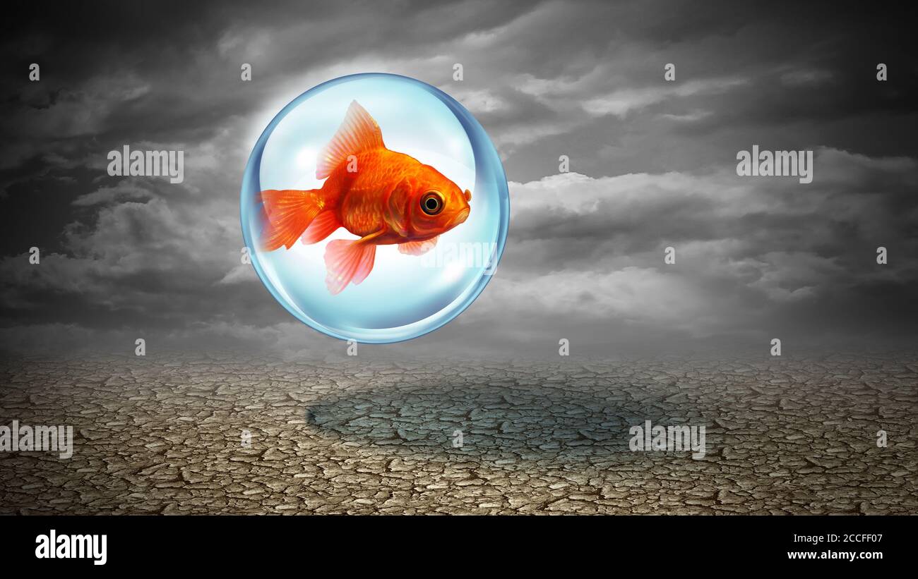 Sicherheitskonzept und Versicherungsidee als Goldfisch geschützt in einem Wasserschild mit 3D-Illustrationselementen. Stockfoto