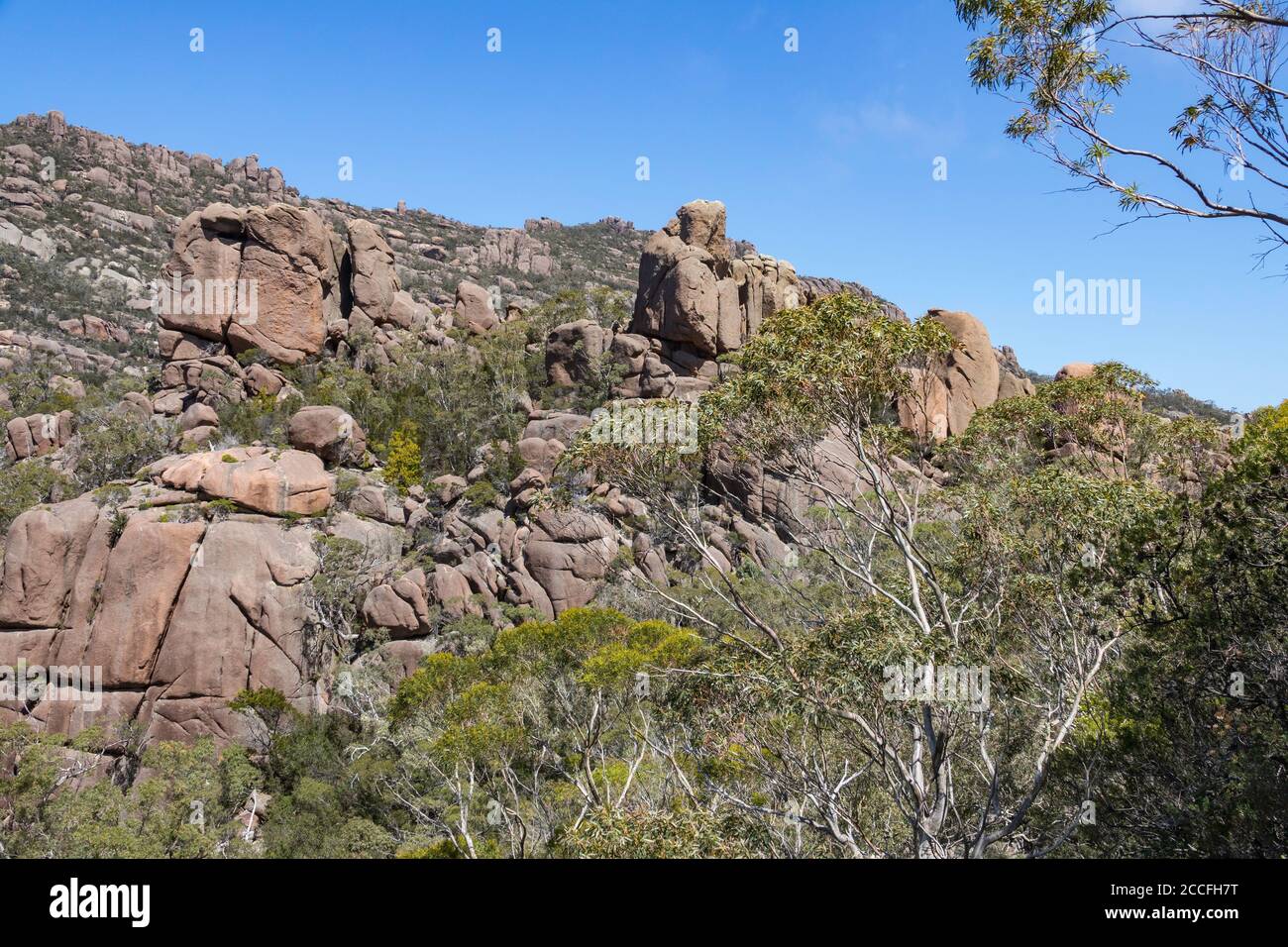 Blick vom Wineglass Bay Lookout auf Busch- und Felsformationen, Freycinet National Park, Tasmanien, Australien Stockfoto