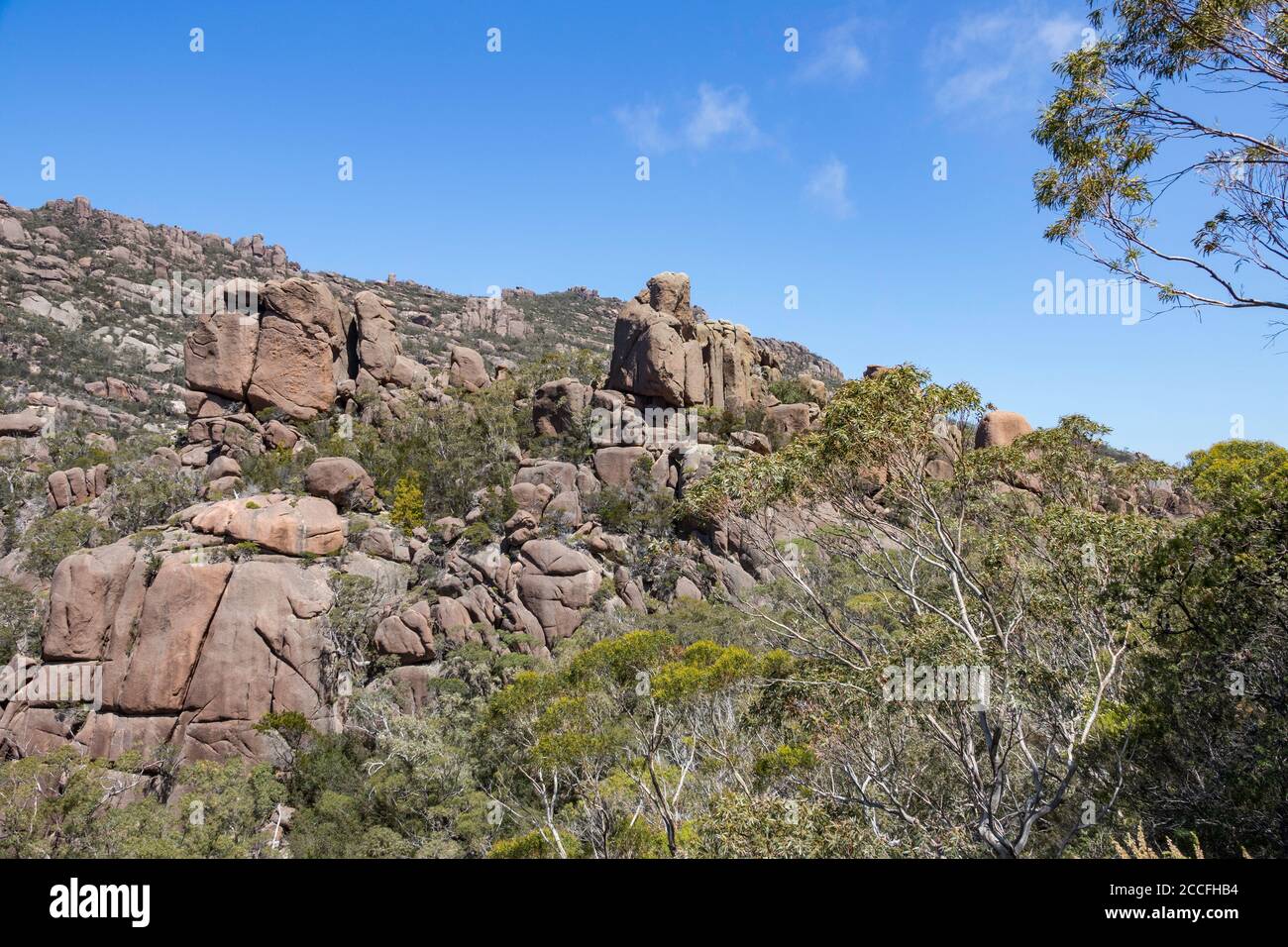 Blick vom Wineglass Bay Lookout auf Busch- und Felsformationen, Freycinet National Park, Tasmanien, Australien Stockfoto