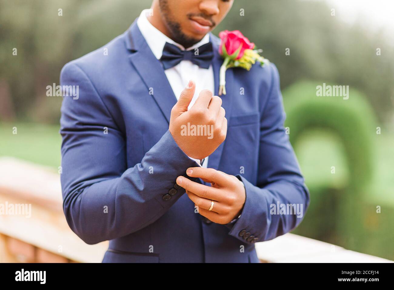 Hochzeit, Bräutigam, junger Mann, Vielfalt, Garten, Landschaft, Ring, Manschette Stockfoto