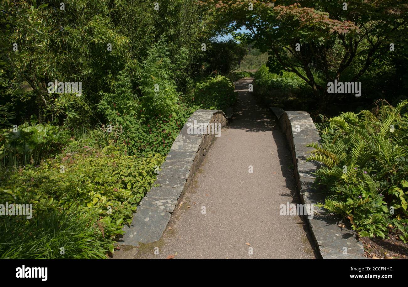 Stone Foot Bridge Crossing a Stream in a Woodland Garden at Rosemoor in Rural Devon, England, UK Stockfoto