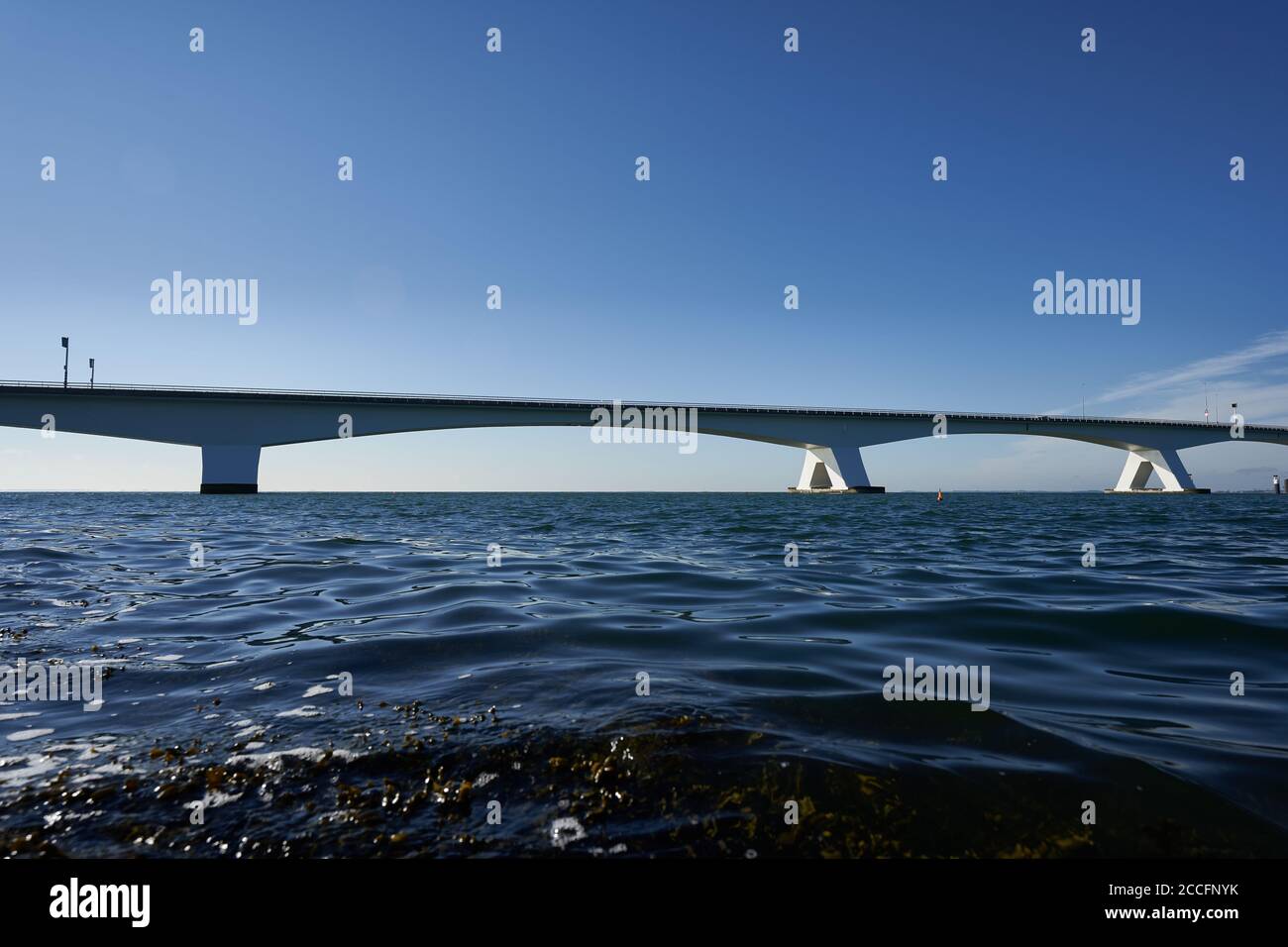 Weiße Zeeland Brücke in Holland, blaues Meerwasser und Himmel, Meeresalgen im Vordergrund. Niederlande, Zeeland. Stockfoto